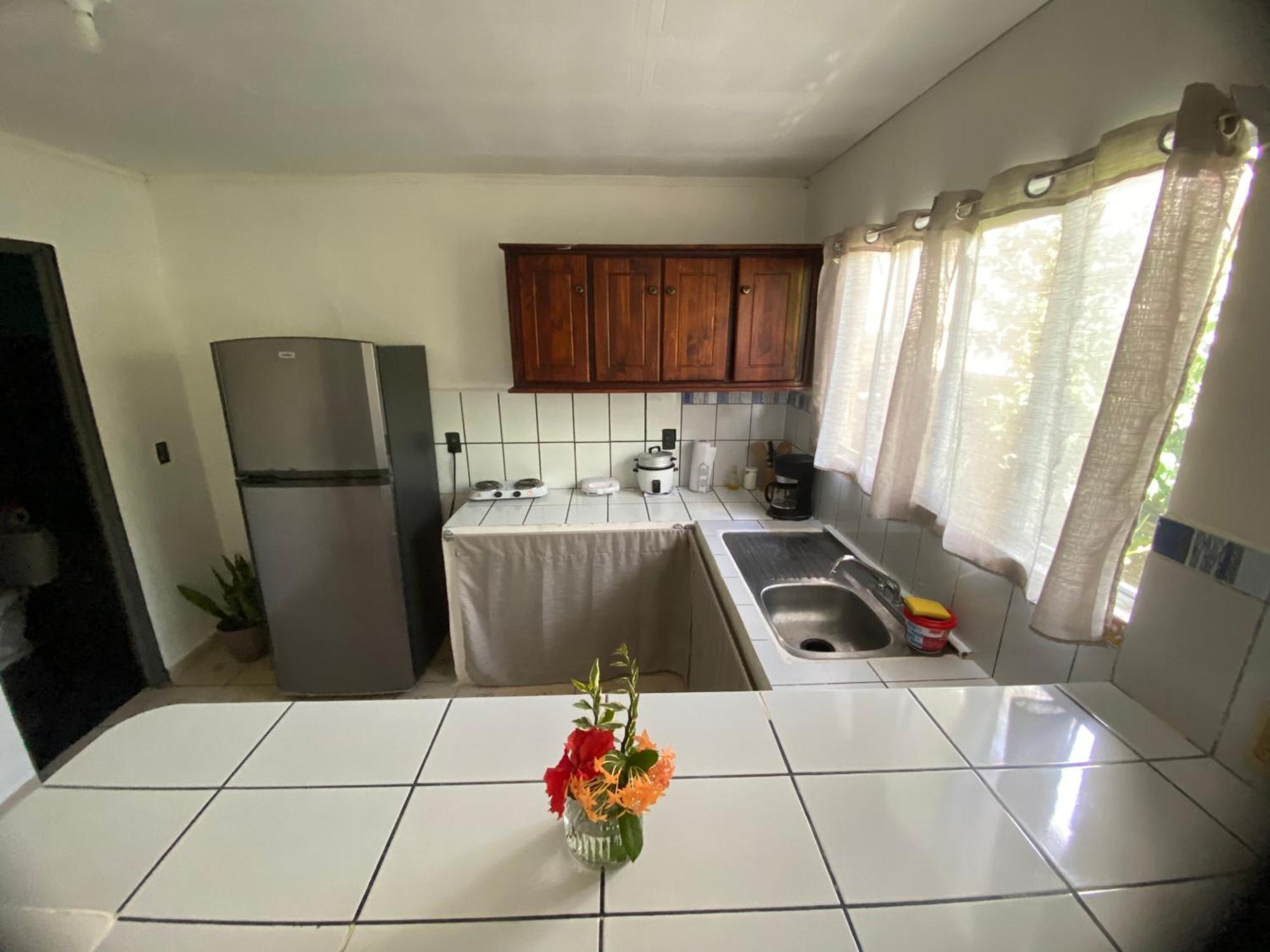 Anluka-House2 With Air Conditioning Puerto Jiménez Εξωτερικό φωτογραφία