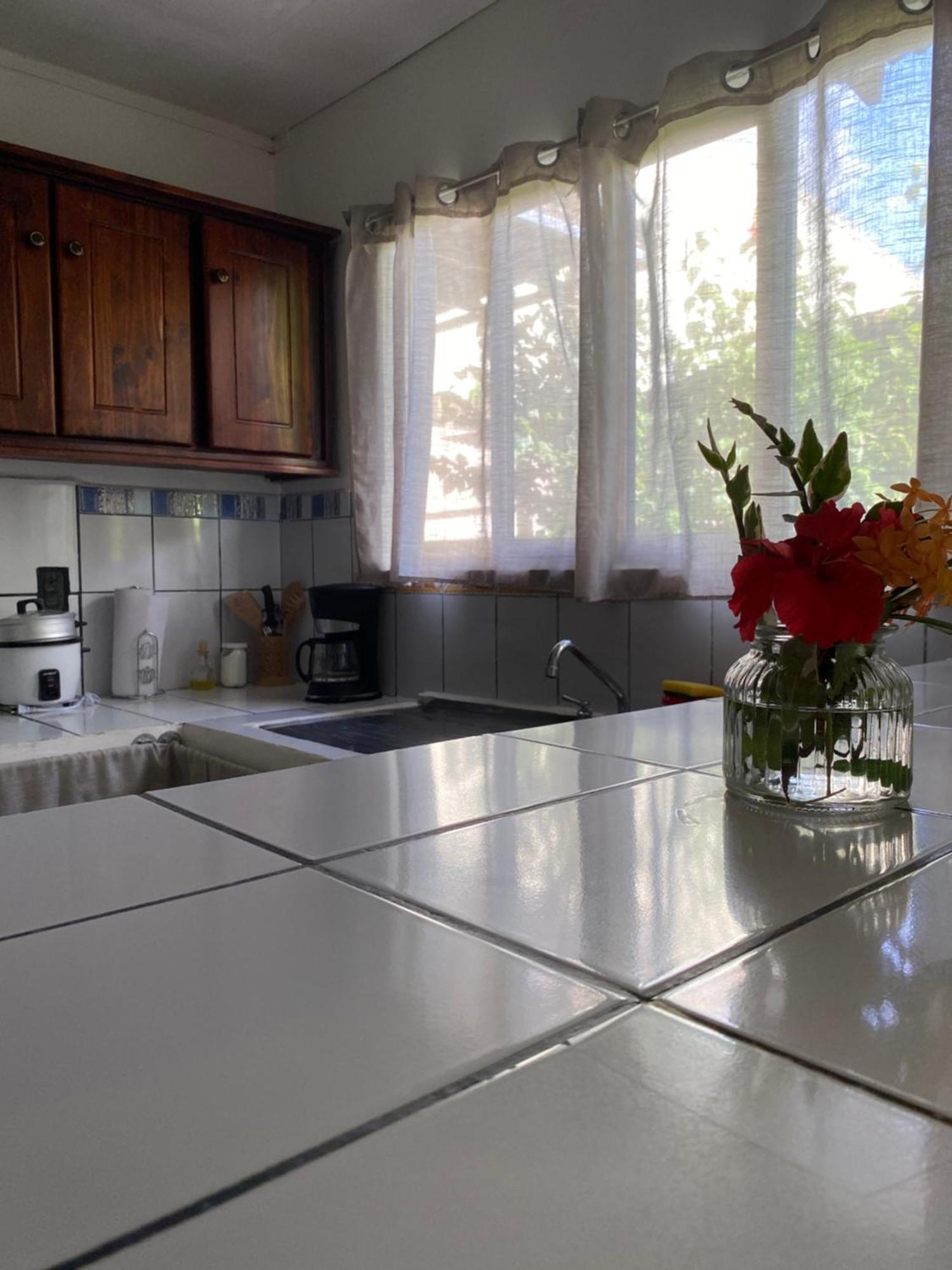 Anluka-House2 With Air Conditioning Puerto Jiménez Εξωτερικό φωτογραφία